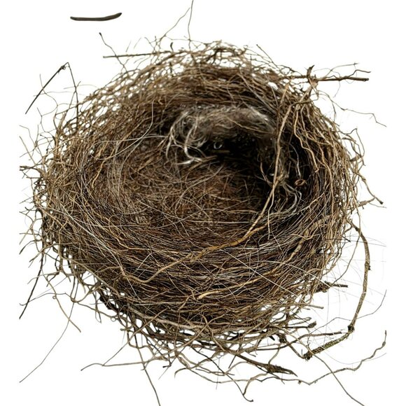 2 Genuine Bird Nest Natural Twigs Fur Lined Small Rustic Abandoned Sparrow Wren - Picture 8 of 10